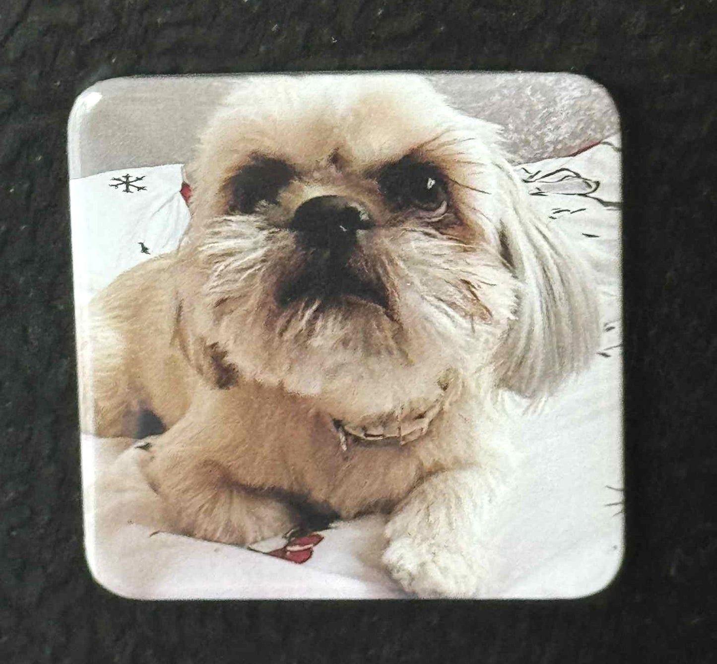 Personalised Photo Fridge Magnets Family Memories 2" Square