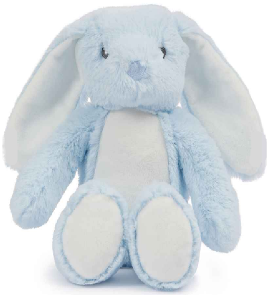 Personalised Soft Toy Plush Mumbles Print Me Teddy Bear, Printed Design Your Own 🖼️ Blue Bunny