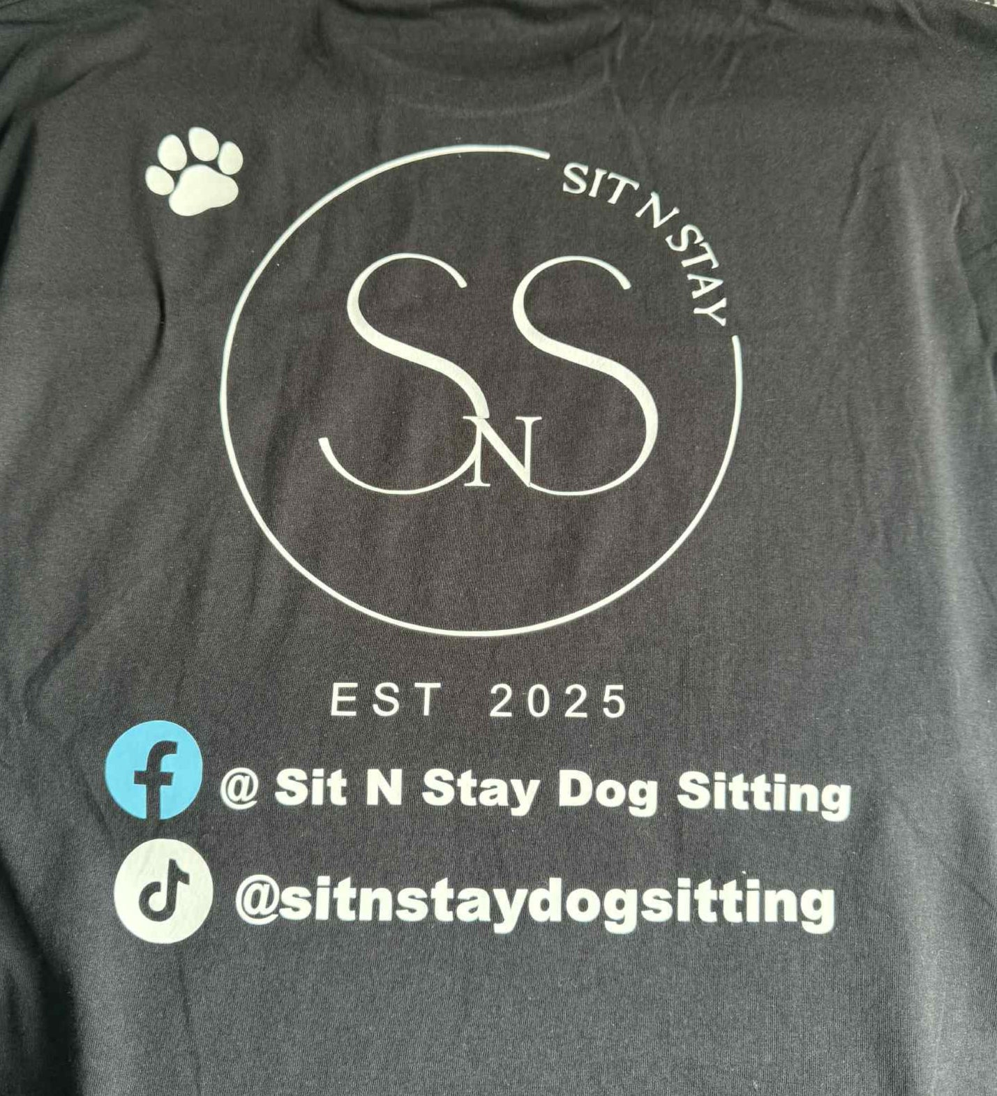 Business Sit N Stay Dog Sitting T-Shirt