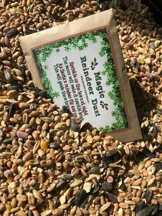 Magic Christmas Eve Reindeer Dust (Eco Friendly) x27 Pack