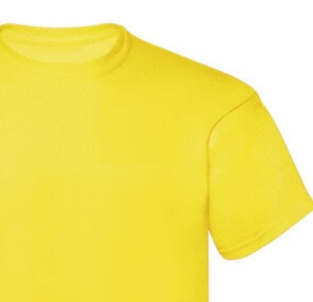 Design Your Own T-Shirt Your Design/Words (Front & Back) Have It Your Way