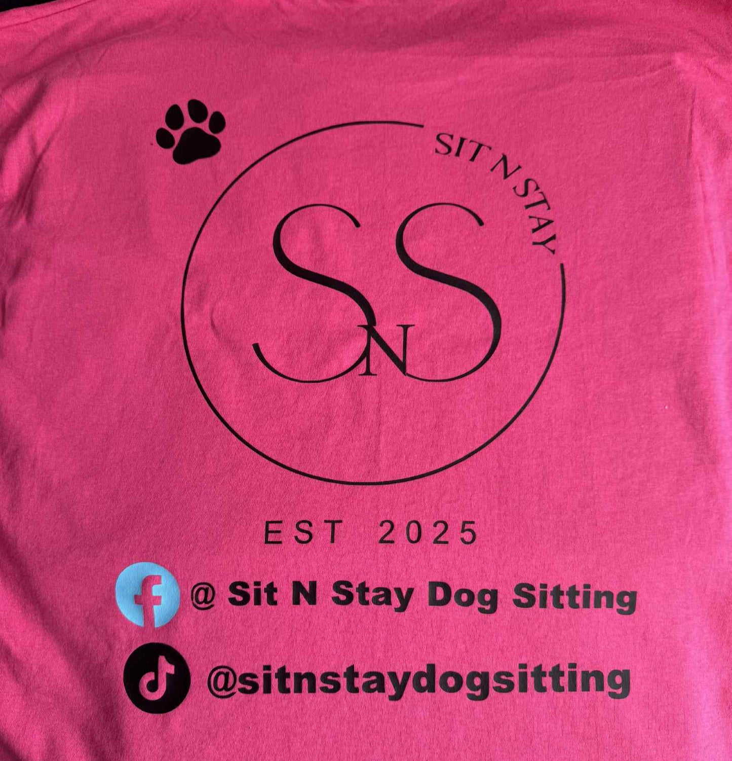 Business Sit N Stay Dog Sitting T-Shirt